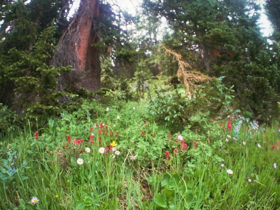 Lower Parika Lake